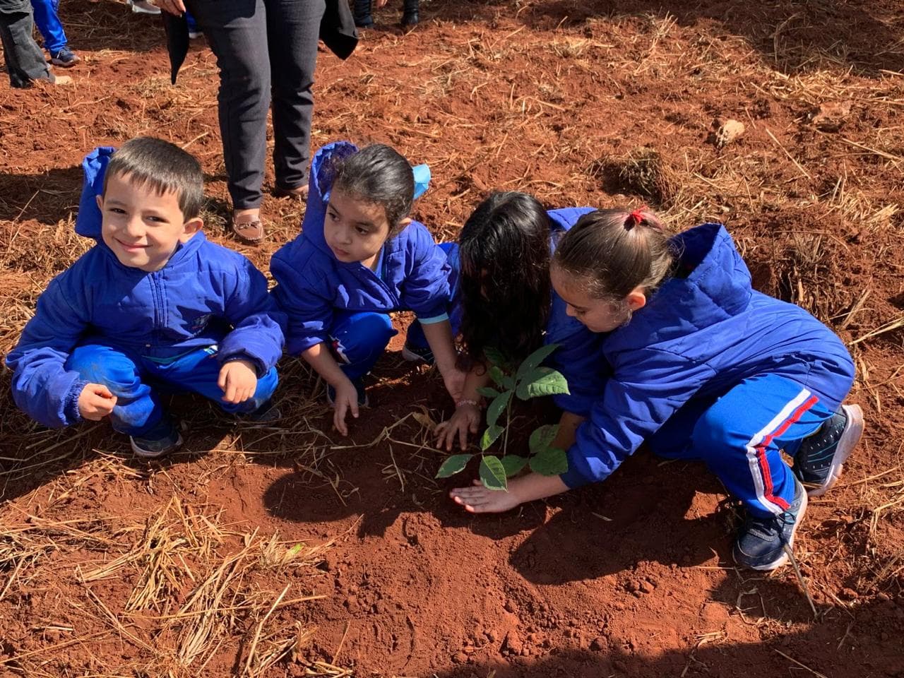 Crianças da rede municipal participam de ação de educação ambiental em Caarapó
