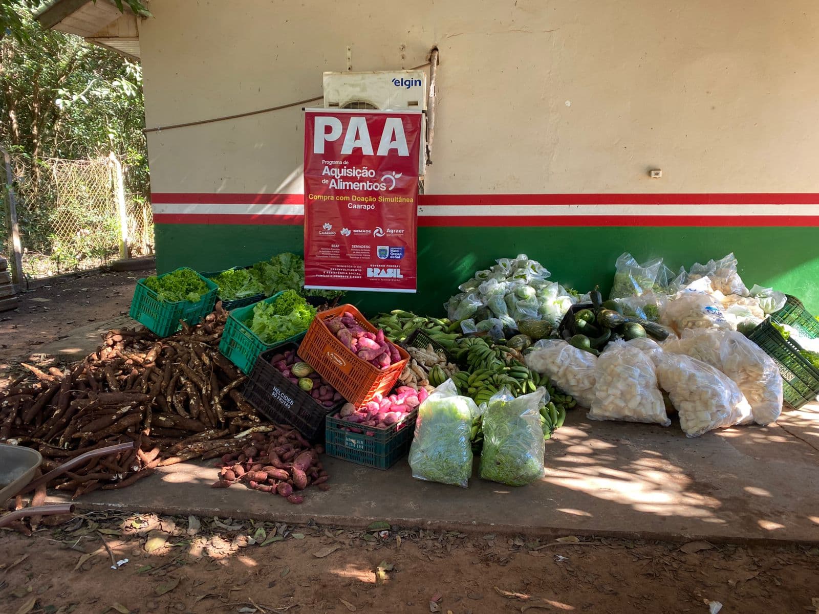 Programa de Aquisição de Alimentos já entregou mais de 2,6 toneladas de alimentos às famílias indígenas de Caarapó