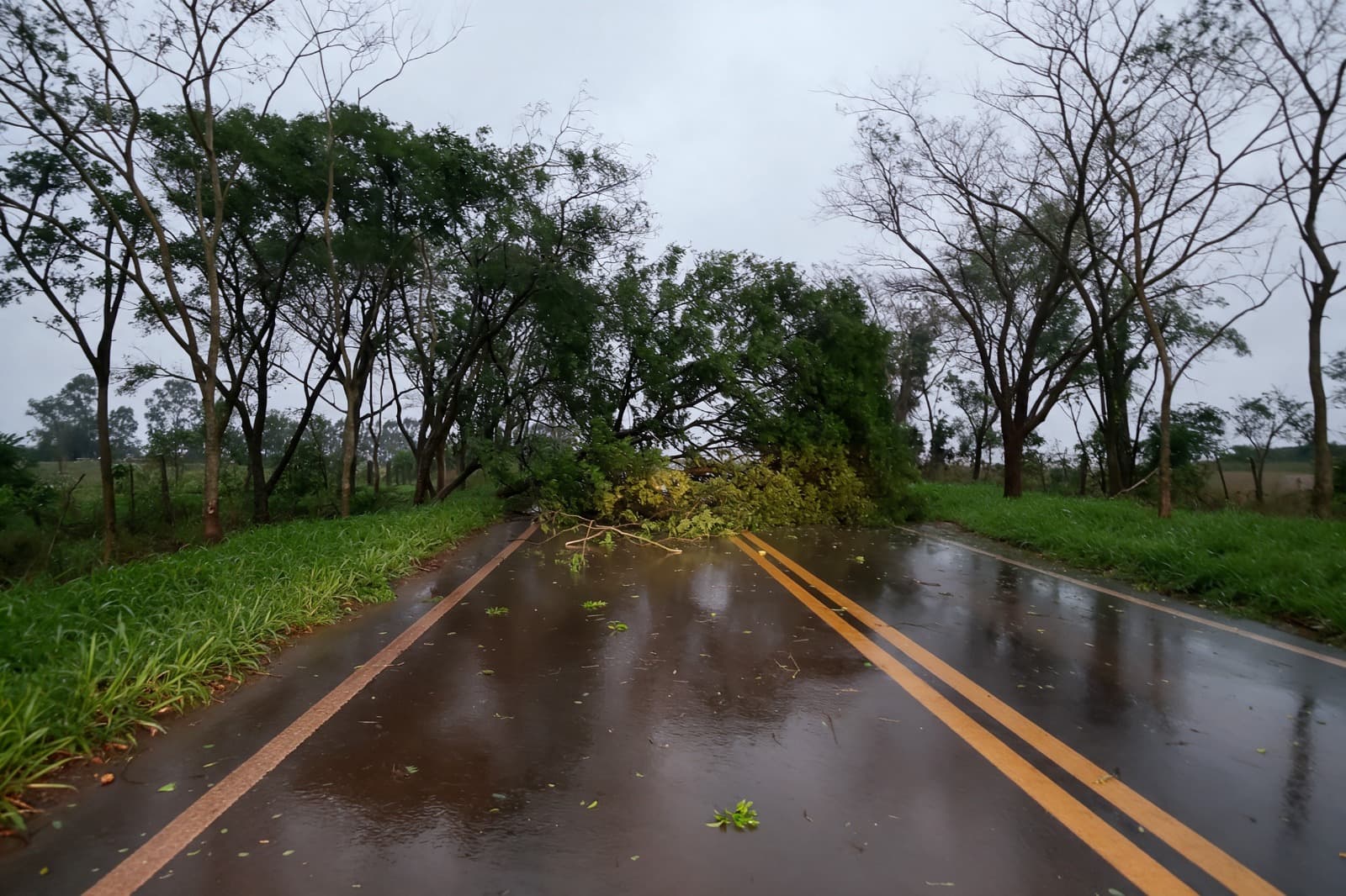 Prefeitura mobiliza equipes após chuva e ventos fortes em Caarapó